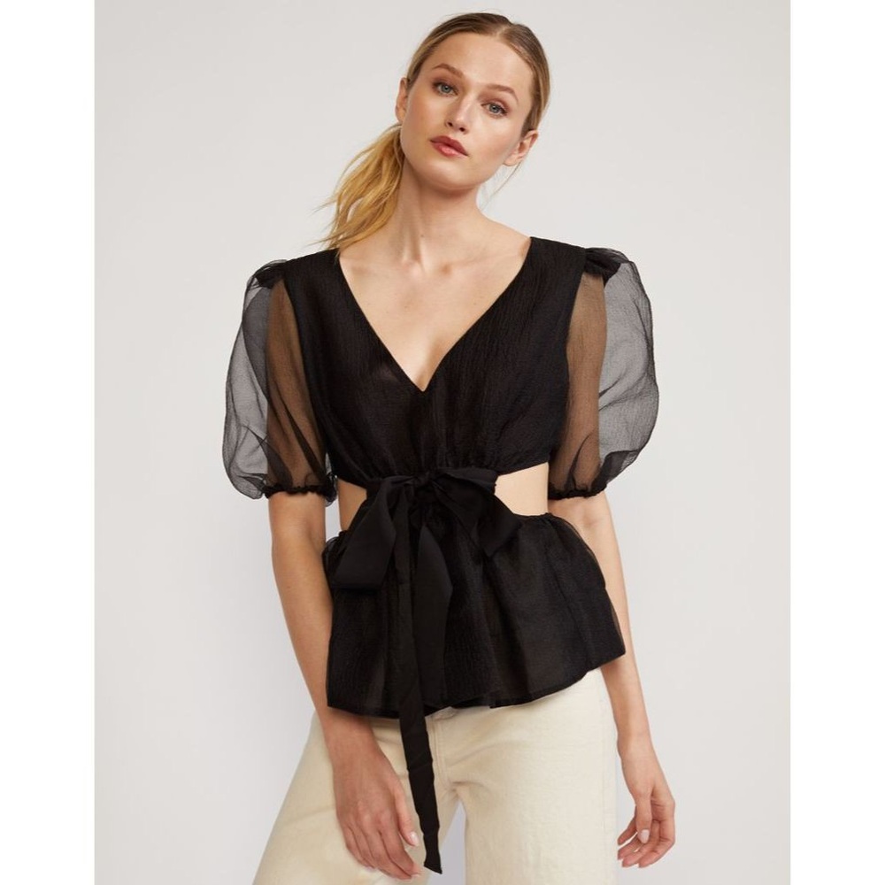 NWT Cynthia Rowley Organza Top XS